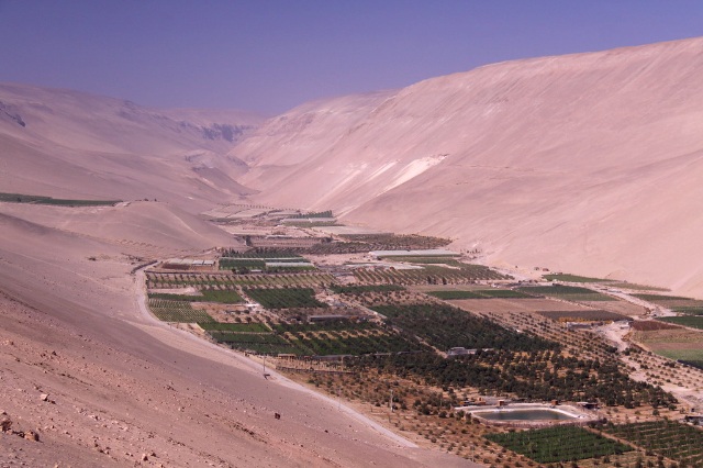 Wines of the Azapa Valley - Arica | Secret World Trip Planner