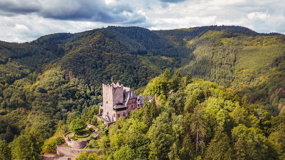 Burg Arras in Alf - Alf | Secret World Trip Planner