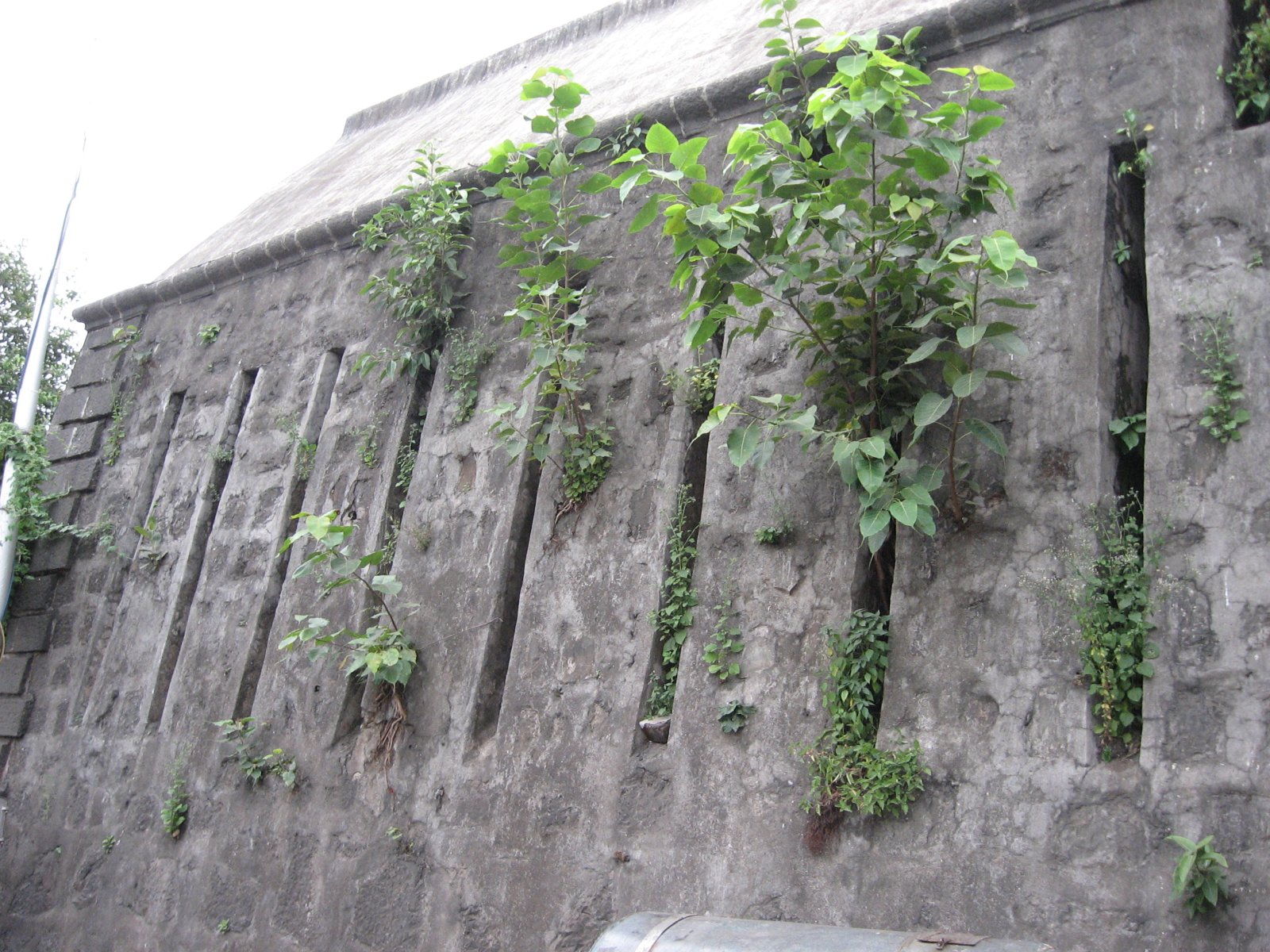 Mumbai: Geheimtunnel des St.-George-Krankenhauses - Mumbai | Secret World Trip Planner