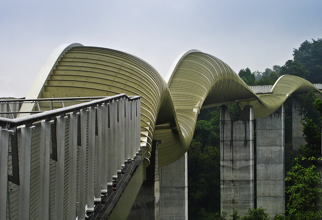 Henderson Waves bridge: Highest pedestrian Bridge - Singapore | Secret World Trip Planner
