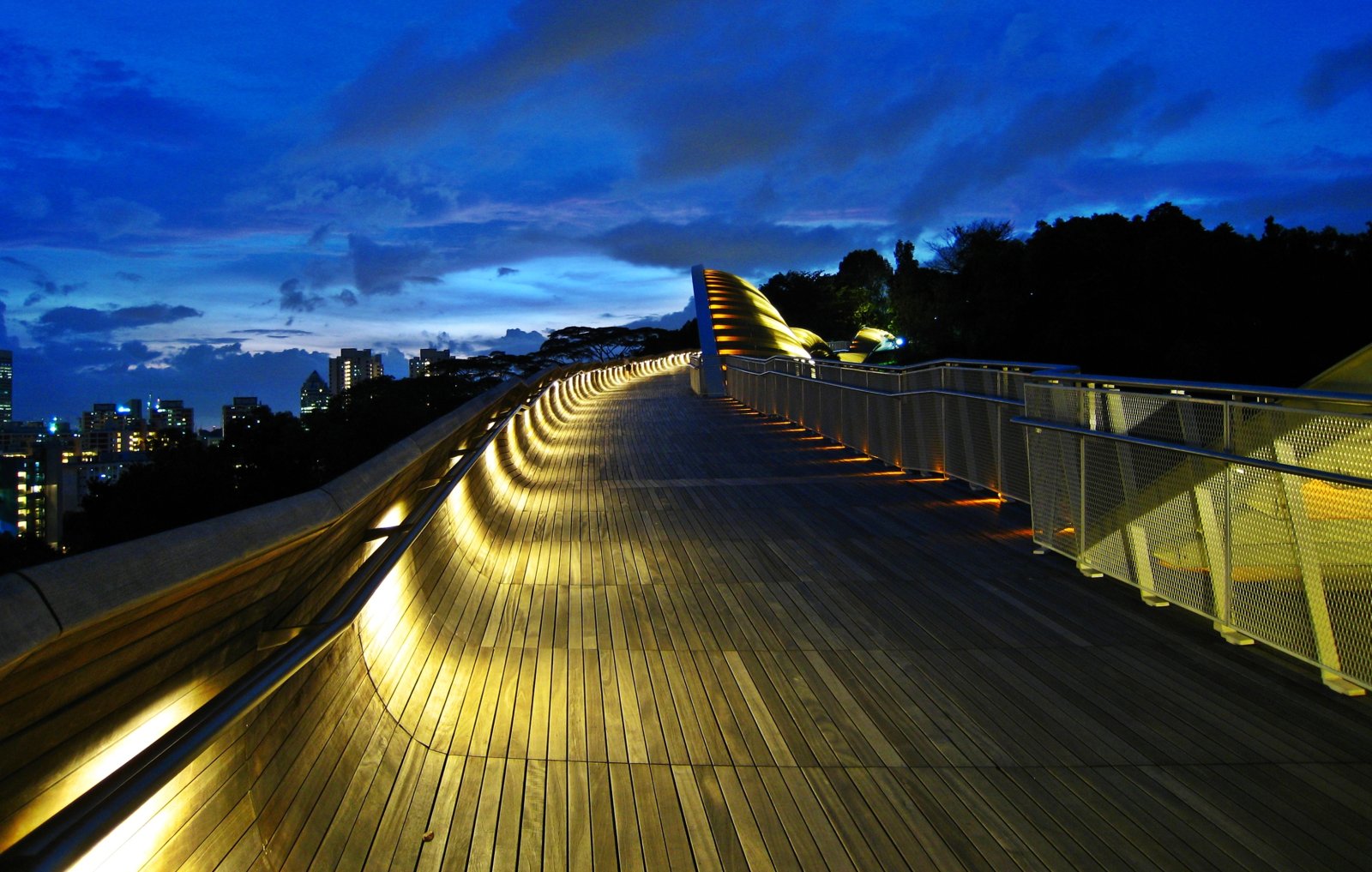 Henderson Waves bridge: Highest pedestrian Bridge - Singapore | Secret World Trip Planner