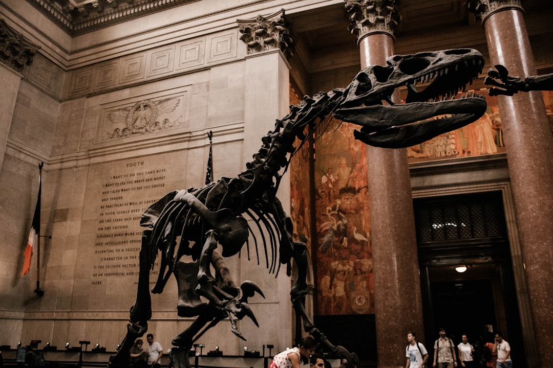 L’American Museum of Natural History - New York | Secret World Trip Planner