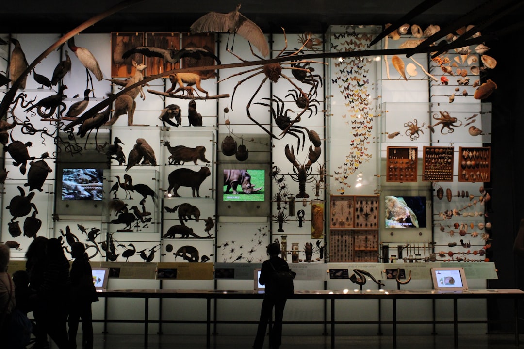 L’American Museum of Natural History - New York | Secret World Trip Planner
