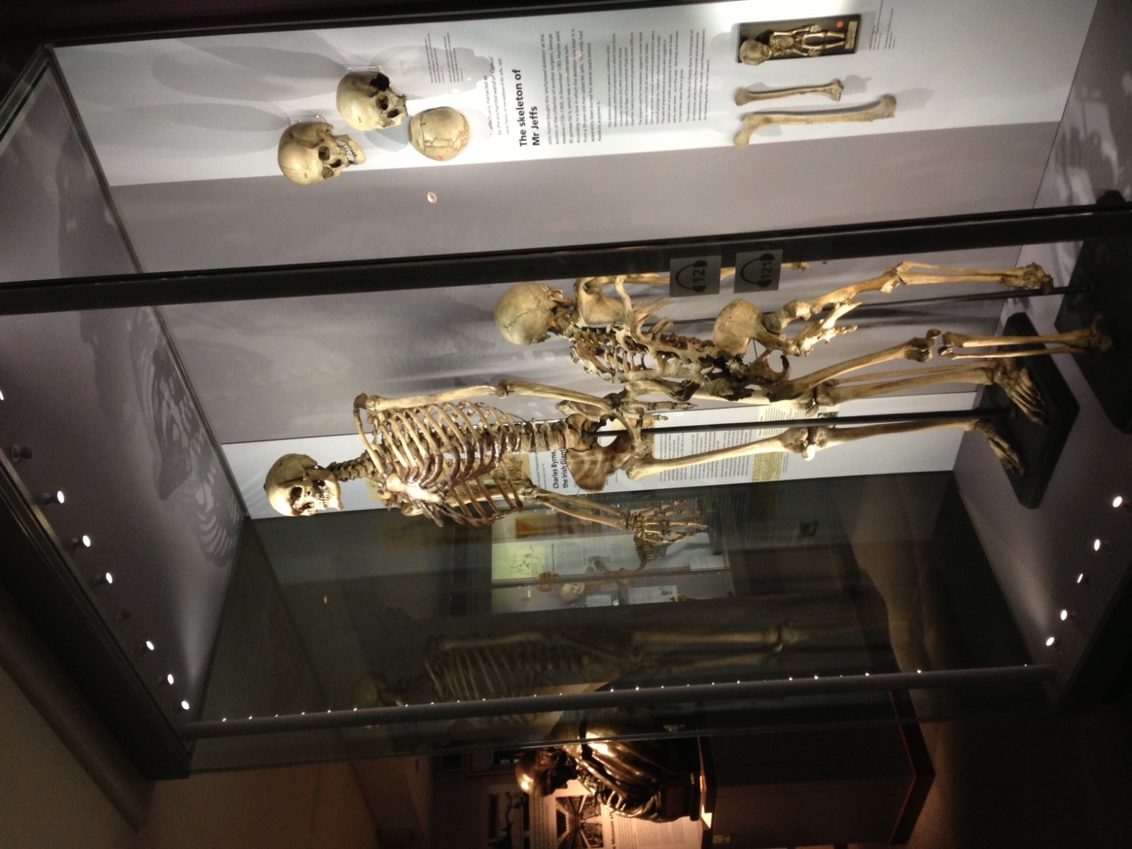Jägerliches Museum - 35-43 Lincoln's Inn Fields | Secret World Trip Planner