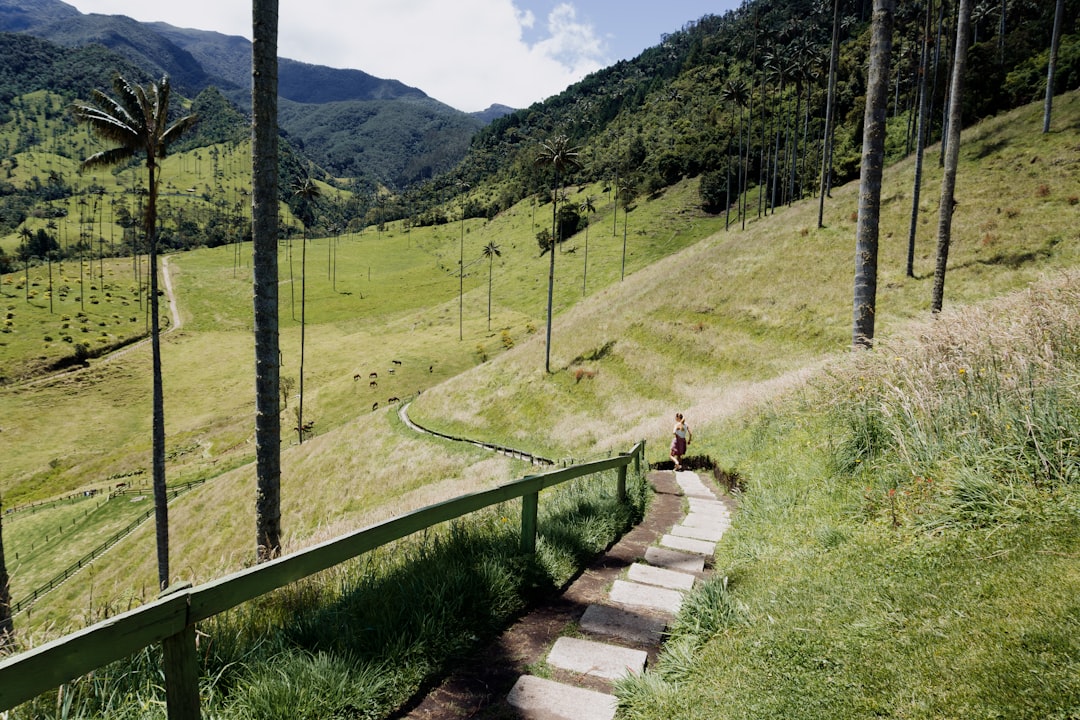 Valle de Cocora in Colombia - Salento | Secret World Trip Planner
