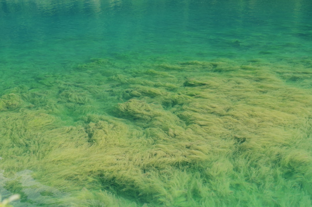 Austria |Green Lake and the enchanted underwater forest - Green Lake | Secret World Trip Planner