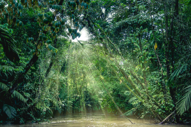Tortuguero-Nationalpark - Roxana | Secret World Trip Planner