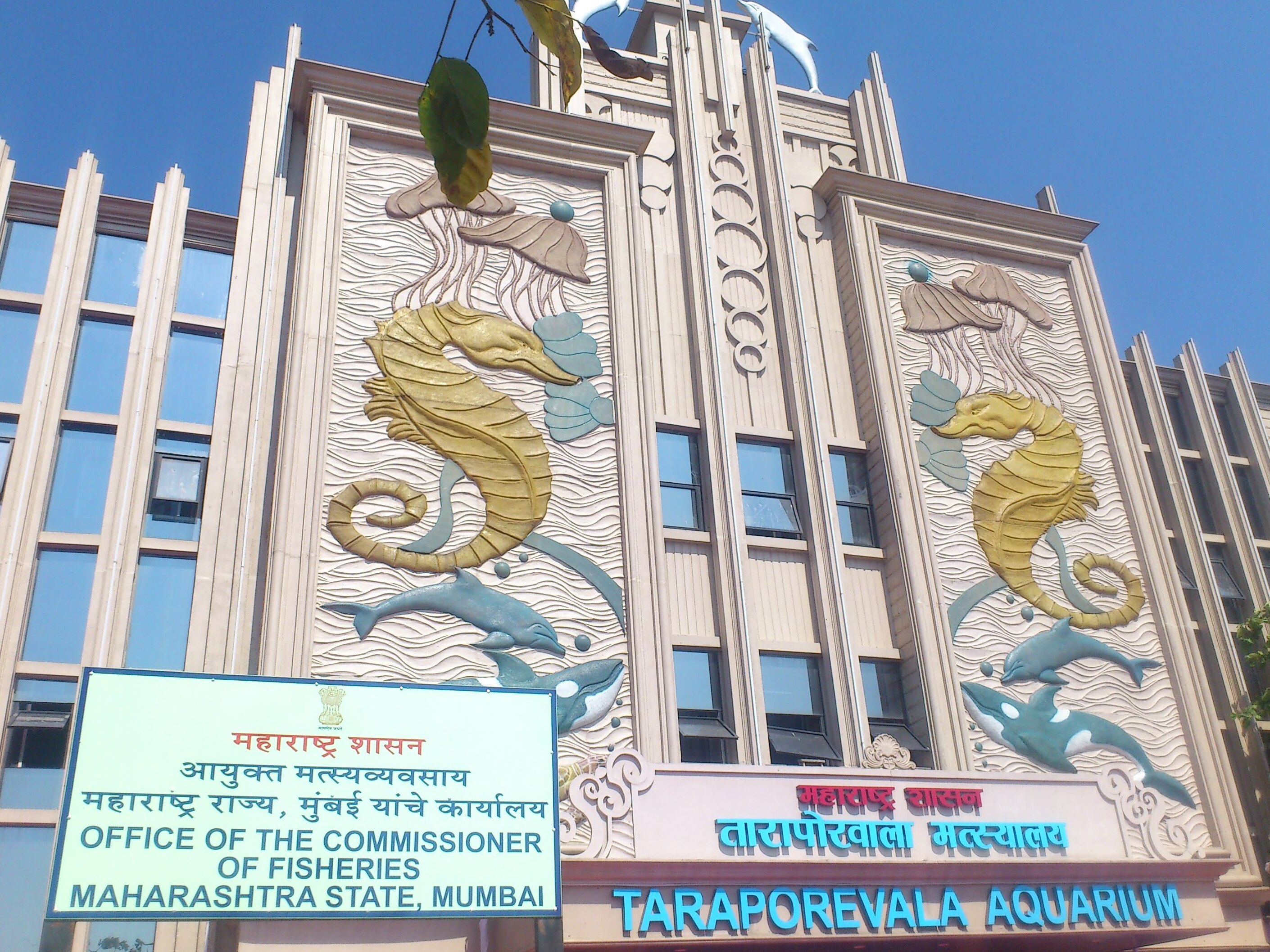 Taraporewala-Aquarium, das älteste Aquarium Indiens - Mumbai | Secret World Trip Planner