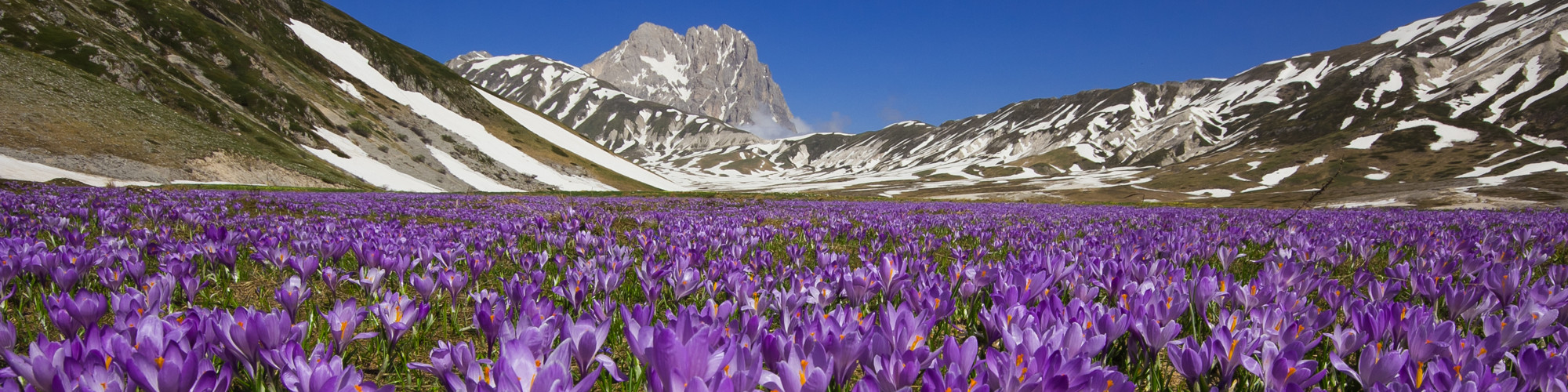 Navelli-Safran - Navelli | Secret World Trip Planner