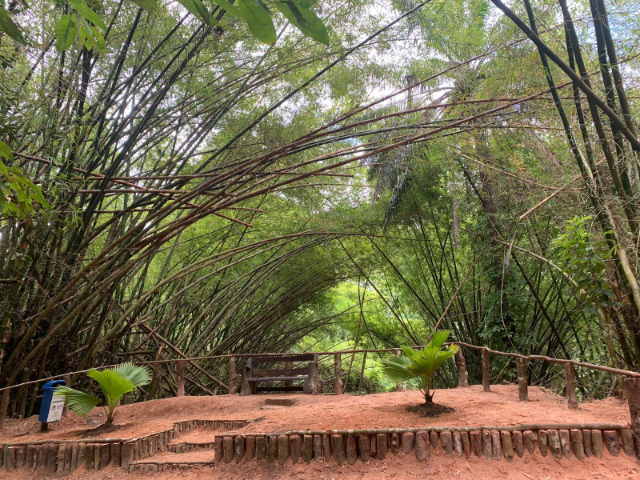 Stadtpark Maceio — Maceió - AL