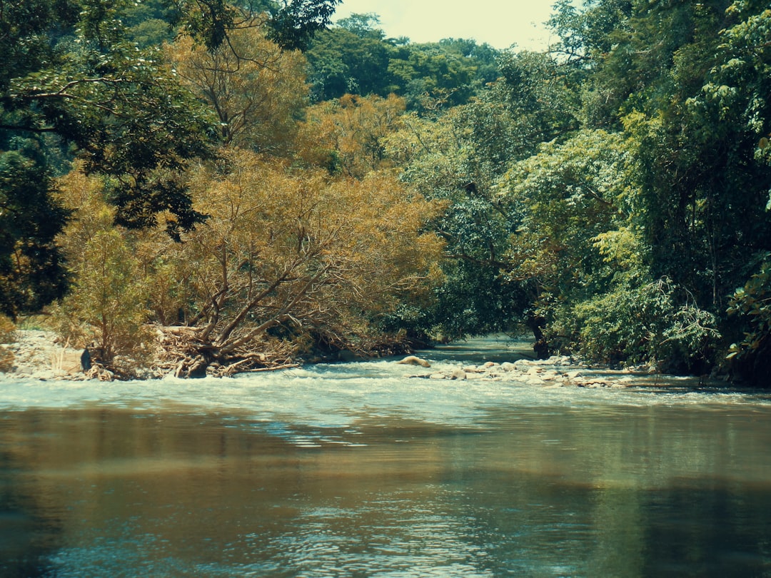 The river Umngot, possibly, was India's cleanest river - Dawki-Riwai Rd | Secret World Trip Planner