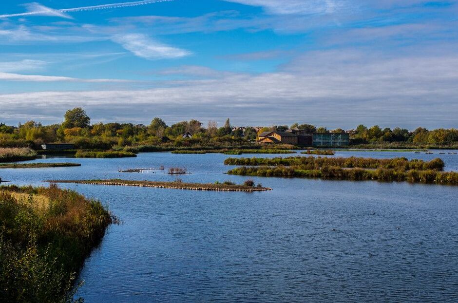 London Wetland Centre:un paradiso per i birdwatcher — Londra