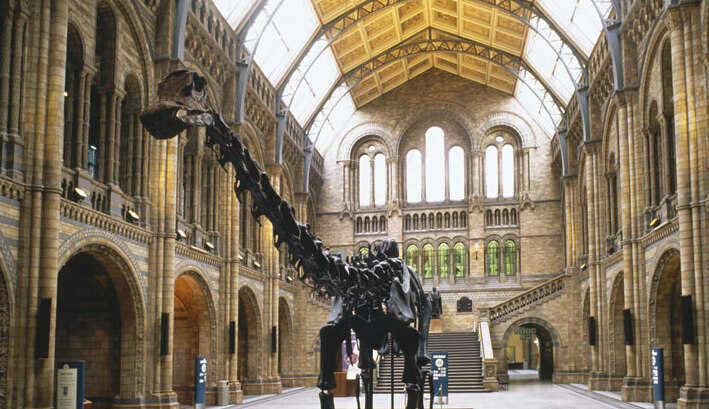 The Natural History Museum in London — Londra
