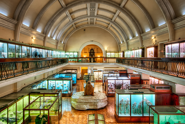Horniman Museum — Londra