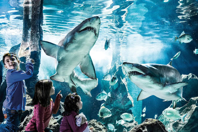 Aquarium of Genoa - Genova | Secret World Trip Planner