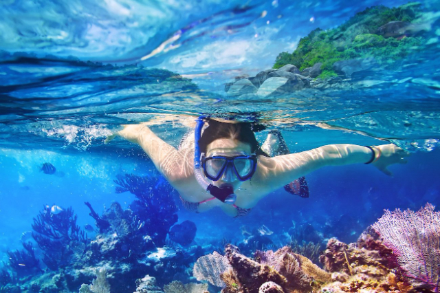 Catalina-Insel - Isla Catalina | Secret World Trip Planner