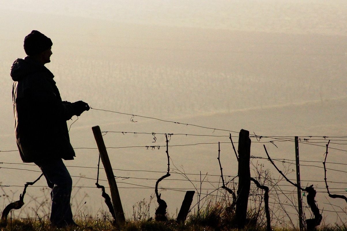 Die elsässische Weinregion Frankreichs - Alsazia | Secret World Trip Planner