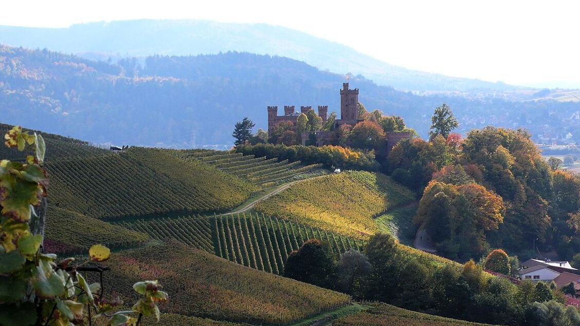 The Ortenau in Baden-Württemberg.  — Ortenaukreis