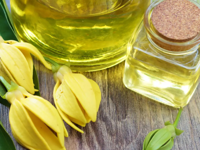 Essences of ylang-ylang — Nosy Be