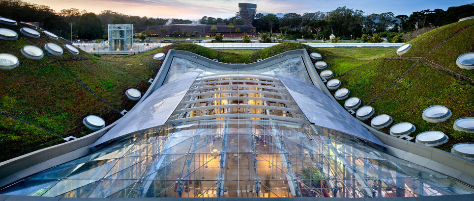 Die Kalifornische Akademie der Wissenschaften in San Francisco — San Francisco