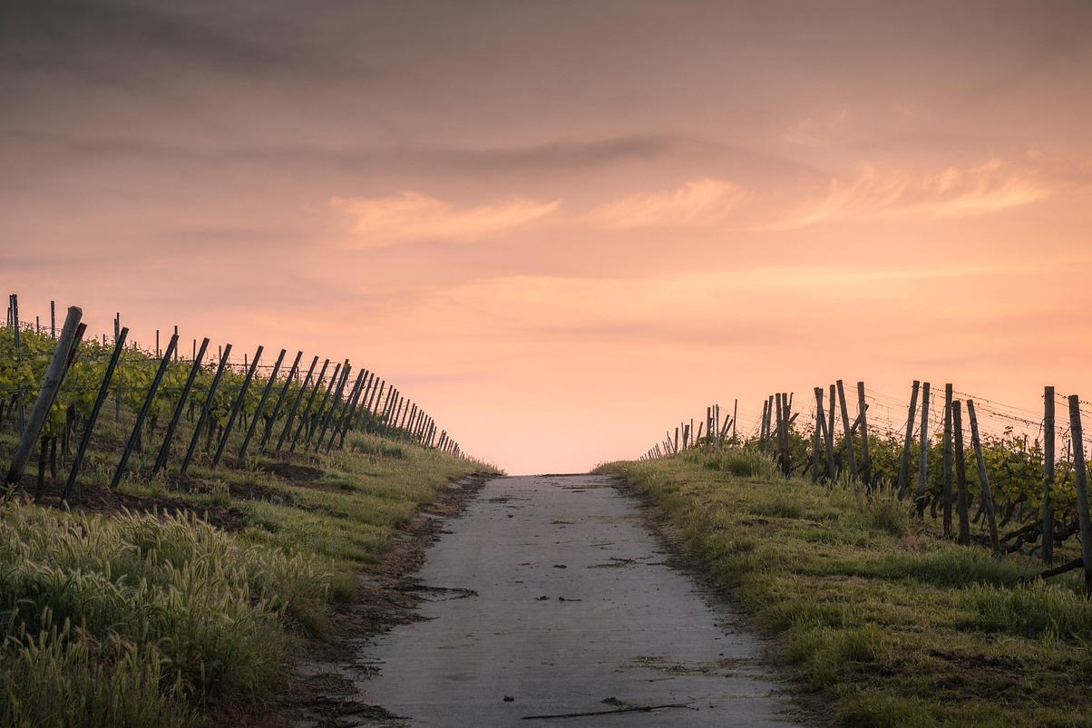 Weingut Beaulieu - Napa | Secret World Trip Planner