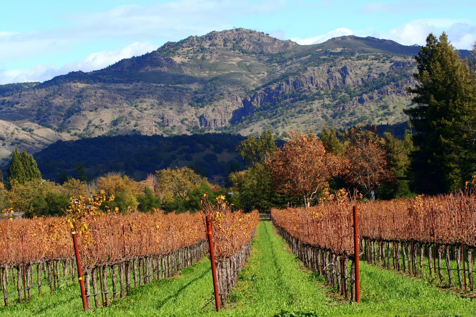 Napa Valley: Beringer-Weinberge - Saint Helena | Secret World Trip Planner