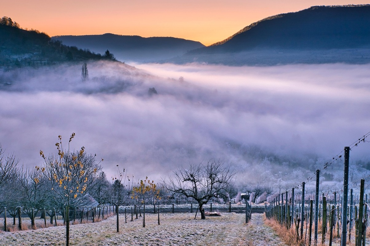 Schramsberg Weingärten in. Napa-Tal - Calistoga | Secret World Trip Planner