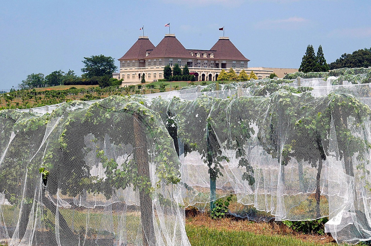 Louis M. Martini Winery in Napa Valley - Saint Helena | Secret World Trip Planner