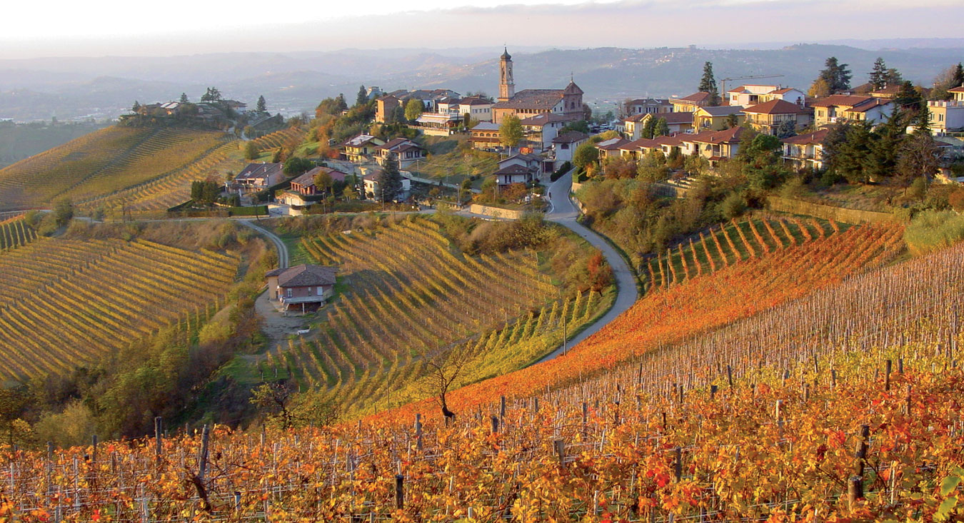 Spitzenweine der Welt: Barbaresco - Barbaresco | Secret World Trip Planner