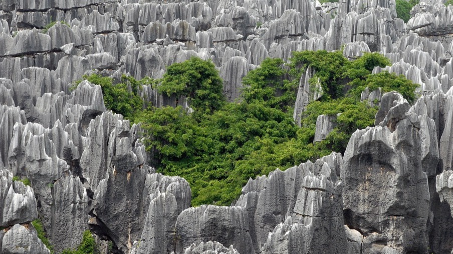 The Stone Forest, An Unforgettable Marvel | Secret World Trip Planner
