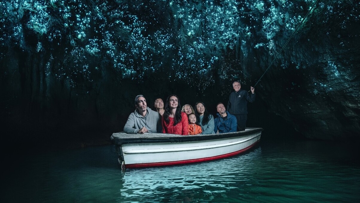 Waitomo Caves, a starry sky in a cave — Waitomo