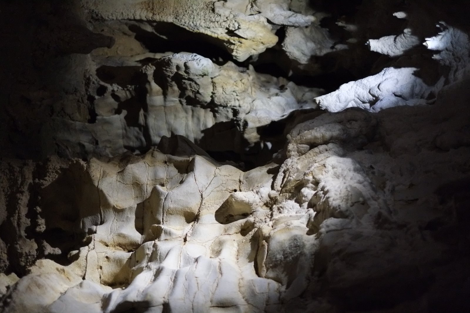Waitomo Caves, a starry sky in a cave - Waitomo | Secret World Trip Planner