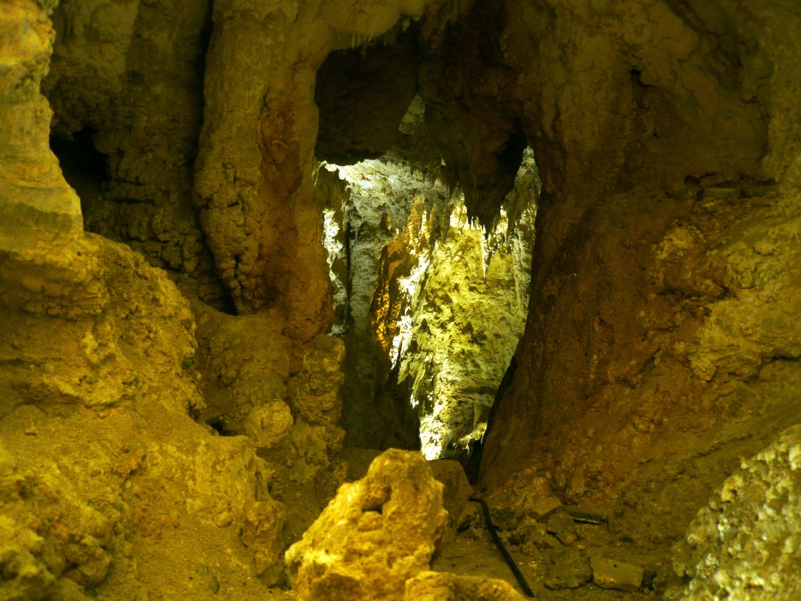 Waitomo Caves, a starry sky in a cave - Waitomo | Secret World Trip Planner