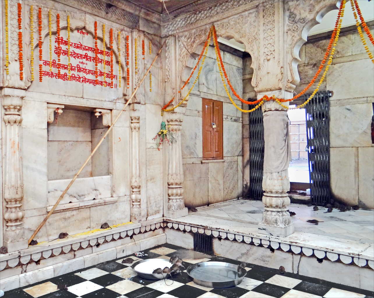 The Karni Mata Temple, A Temple Full Of Mice - Deshnok | Secret World Trip Planner