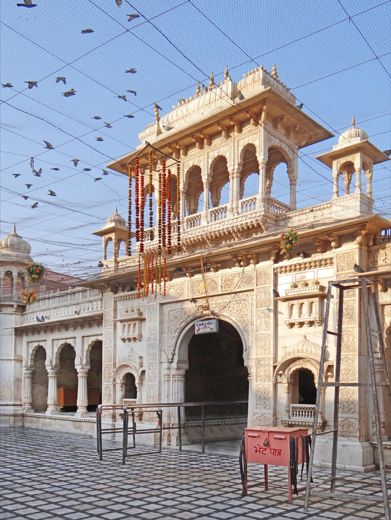 The Karni Mata Temple, A Temple Full Of Mice - Deshnok | Secret World Trip Planner