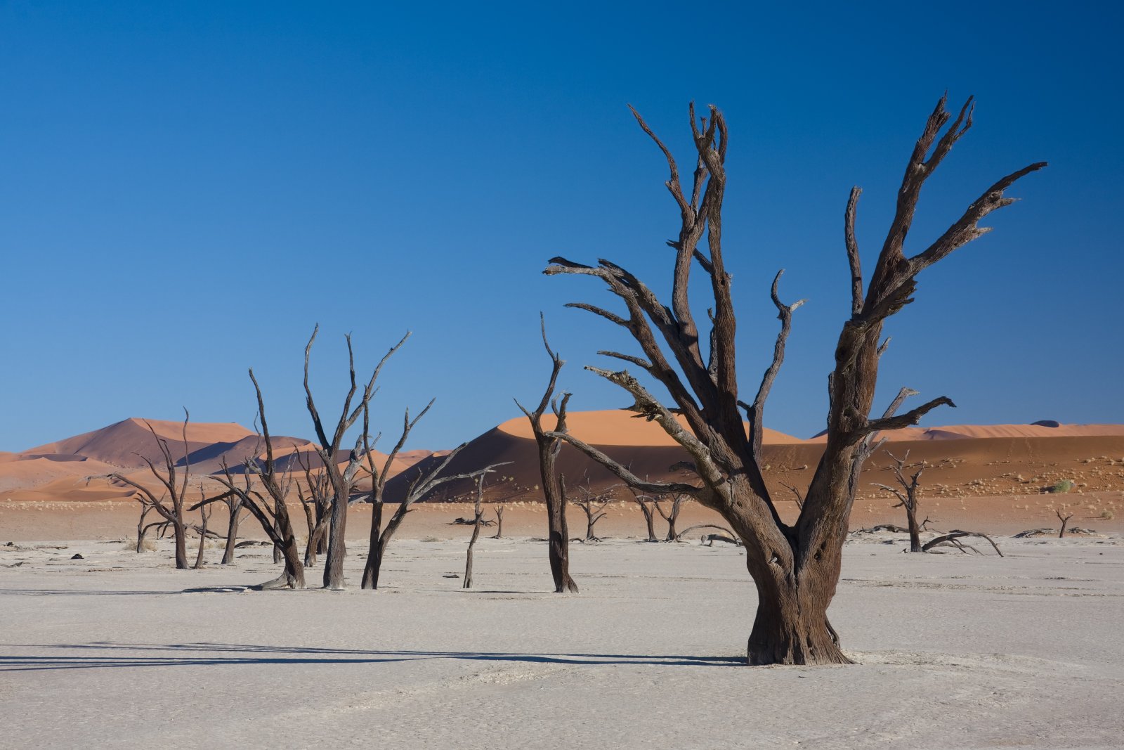Das Dead Vlei, ein gefrorener Wald in der Wüste - Sossusvlei | Secret World Trip Planner