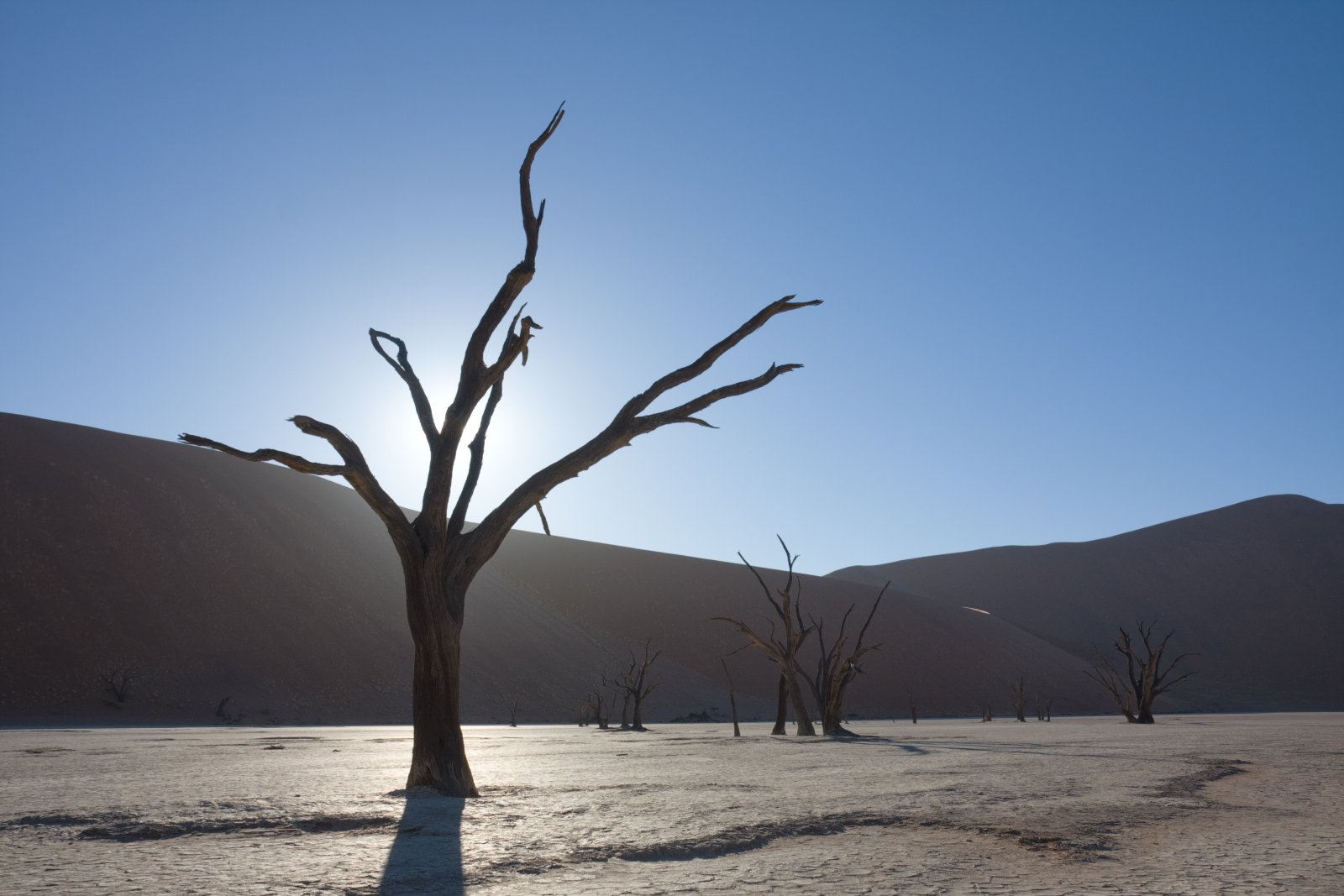 Das Dead Vlei, ein gefrorener Wald in der Wüste - Sossusvlei | Secret World Trip Planner