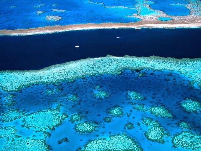 Das Great Barrier Reef | Australien — Grande barriera corallina