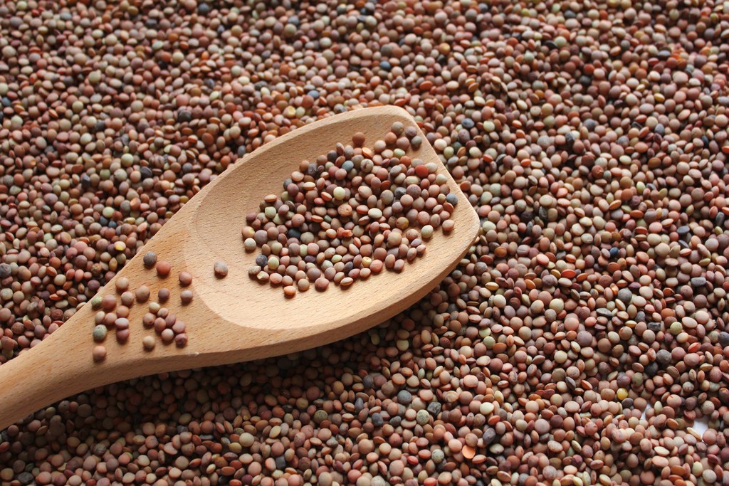 Castelluccio Lentils PGI — Castelluccio