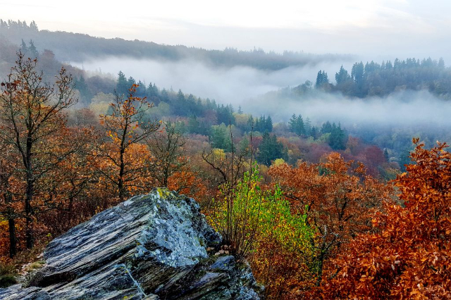 Wandern:Selketalweg — Stiege