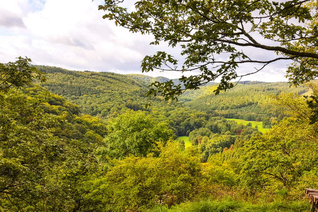 Wandern:Selketalweg - Stiege | Secret World Trip Planner