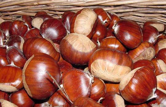 मोंटेला चेस्टनट I.G.P. - Montella | Secret World Trip Planner