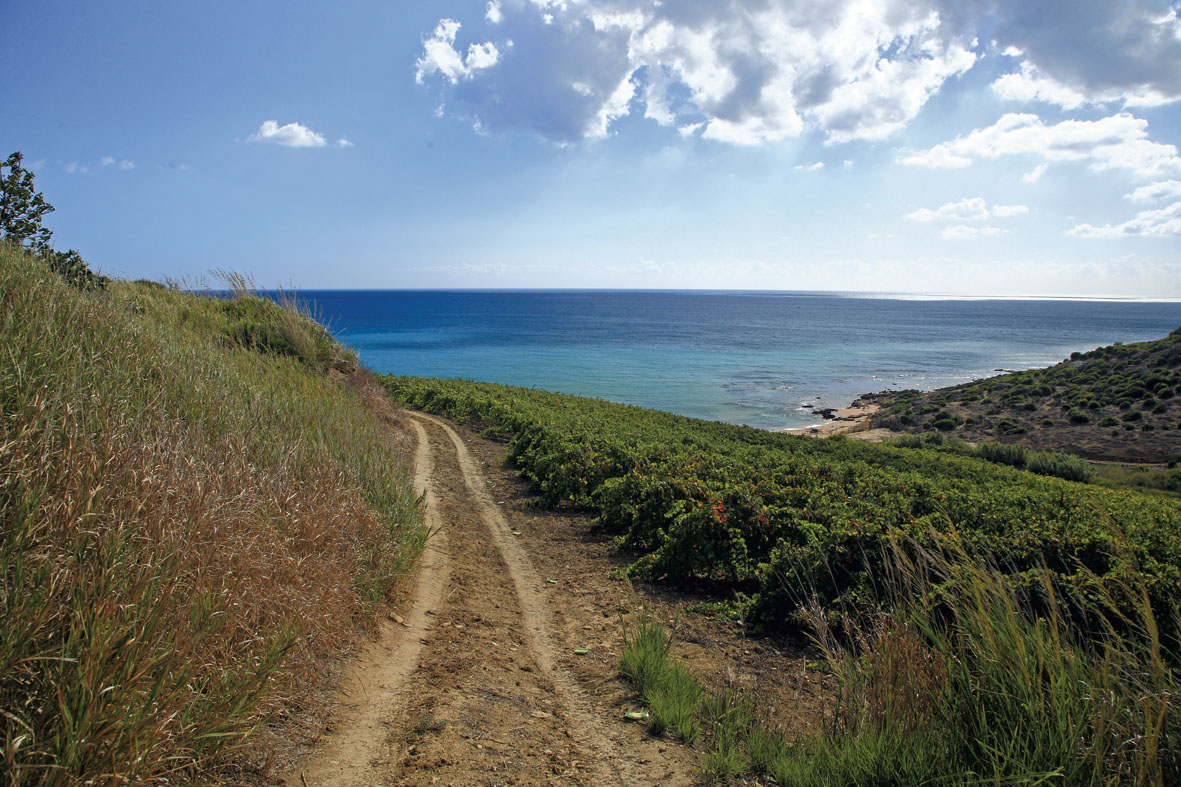 Menfi... Sonne, Meer, Geschichte, Essen und Wein - Menfi | Secret World Trip Planner
