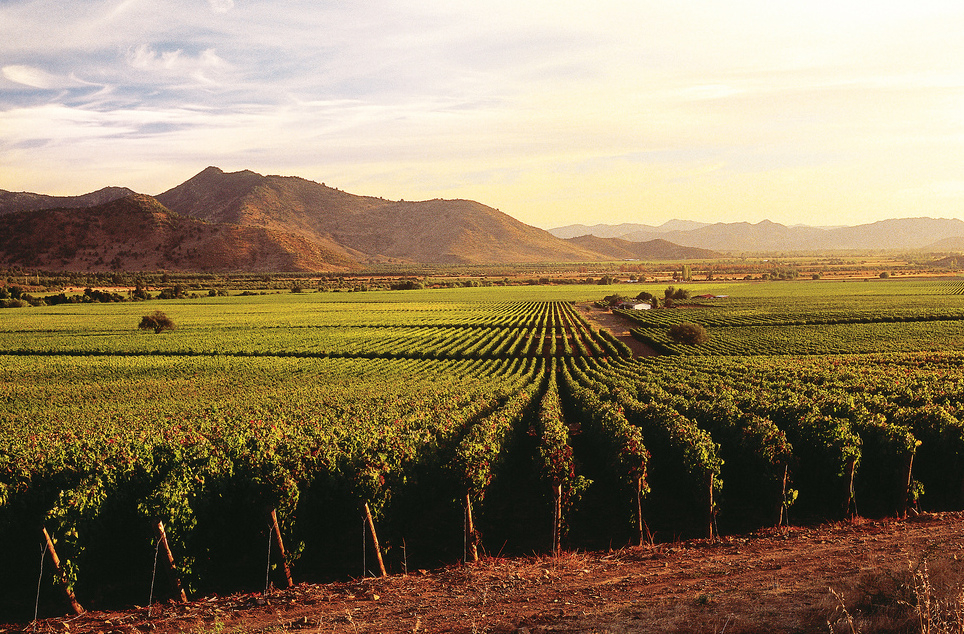 Colchagua Valley, in central Chile — San Fernando