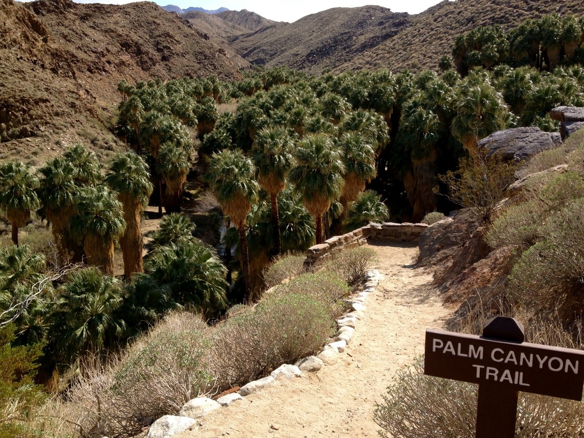 Indian Canyons — Palm Springs