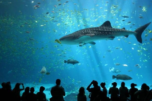 Das Vancouver-Aquarium — Vancouver