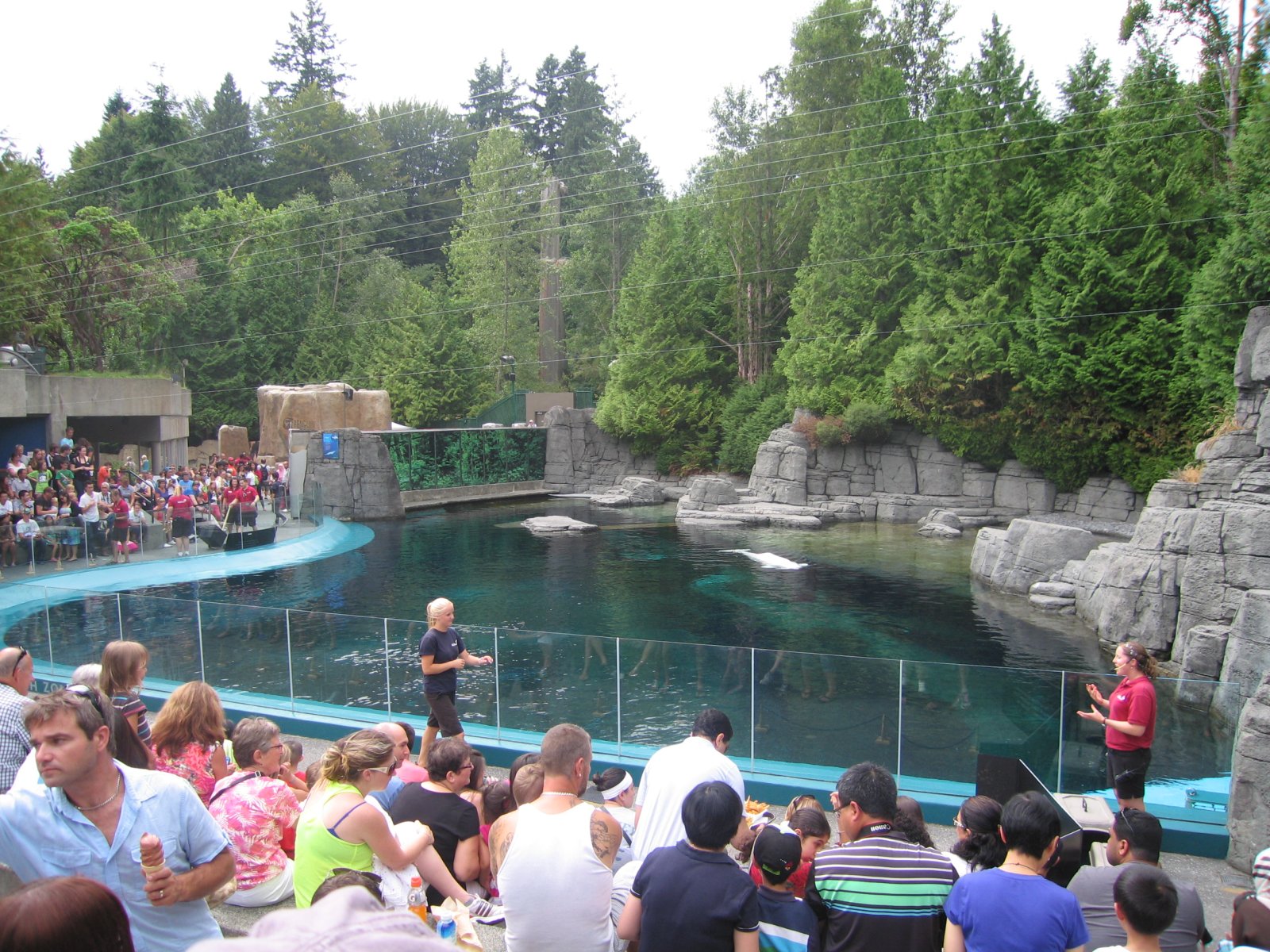 Das Vancouver-Aquarium - Vancouver | Secret World Trip Planner