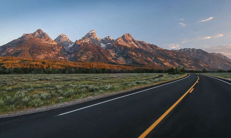 The Grand Teton Park — Moose