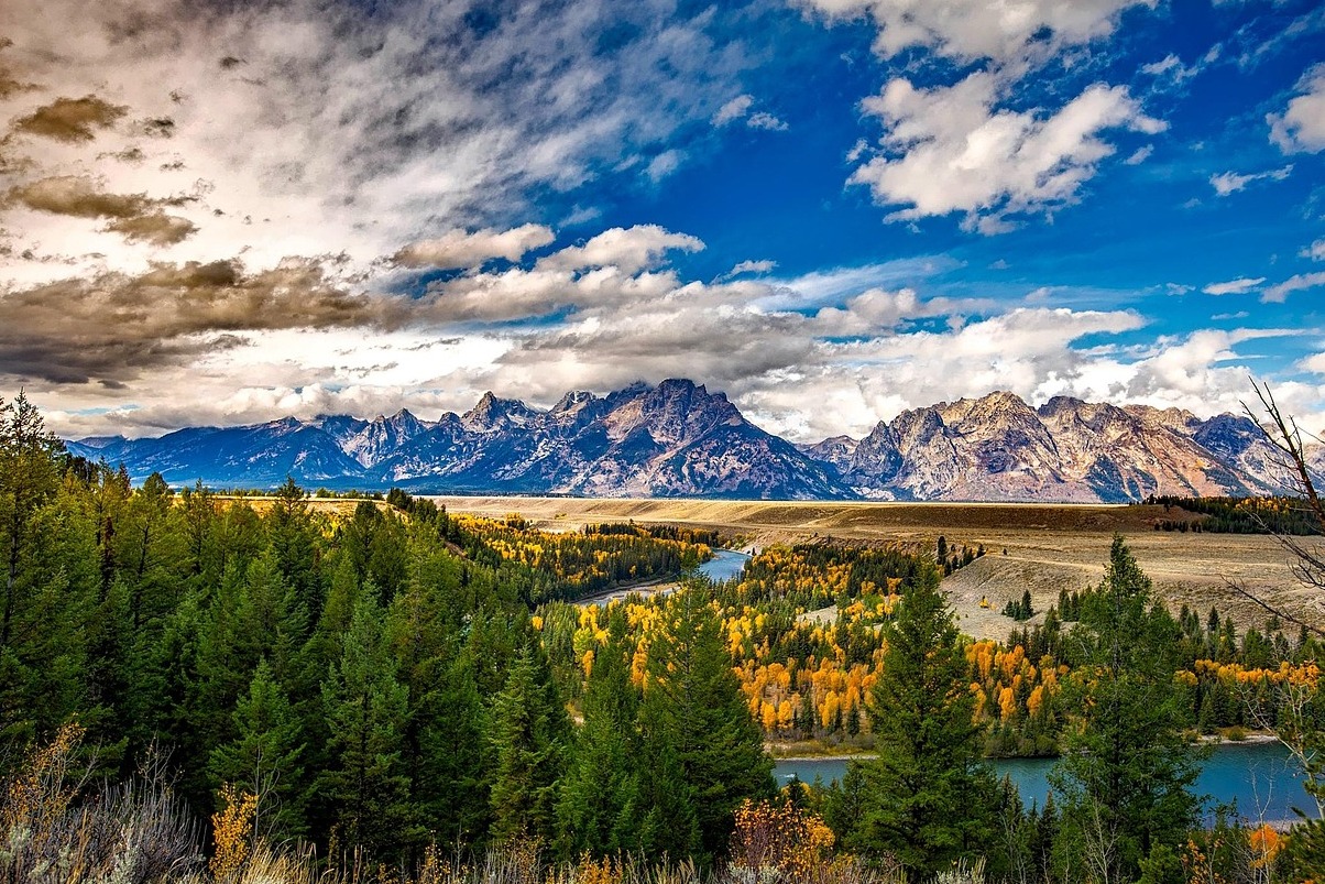The Grand Teton Park - Moose | Secret World Trip Planner