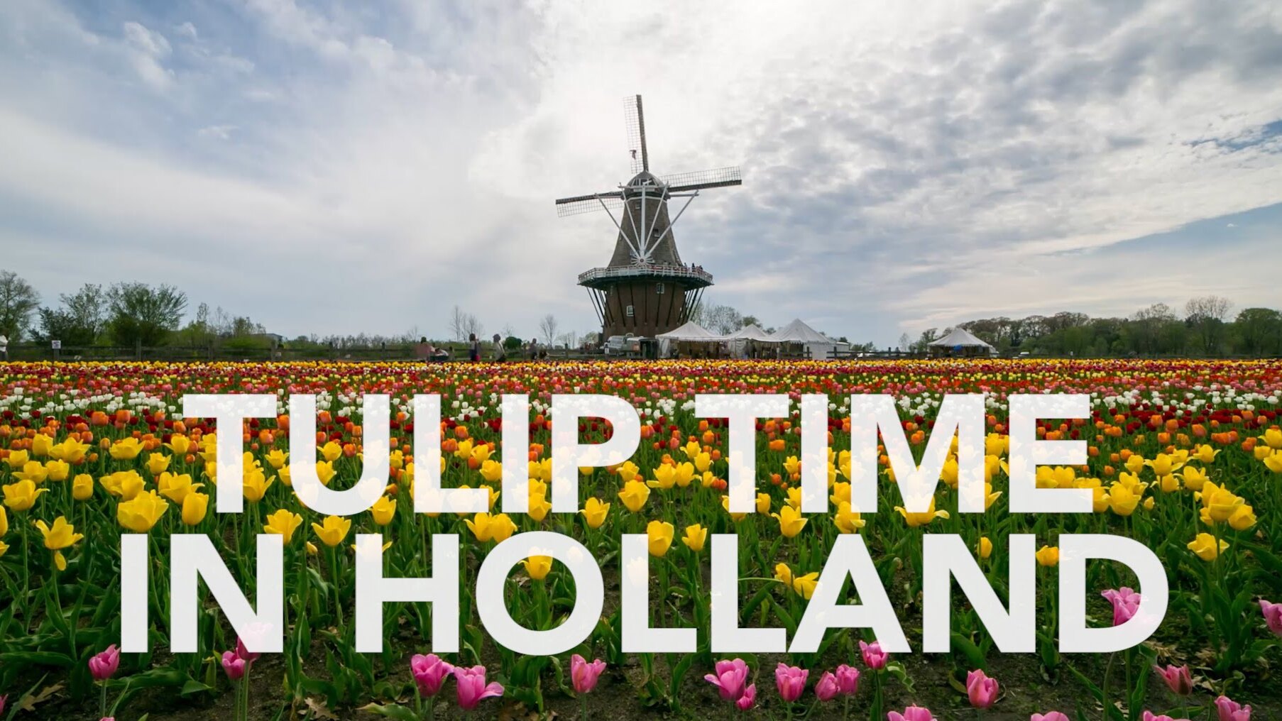 Tulip Time Festival in Holland, Michigana — Holland
